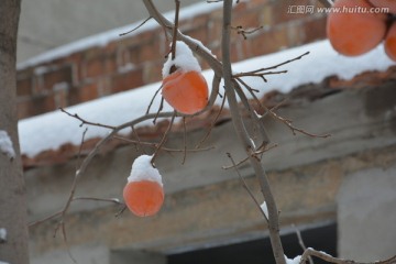 雪景