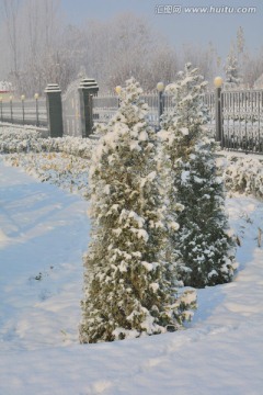 雪景