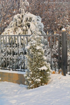 雪景