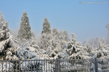 雪景