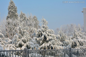 雪景 公园