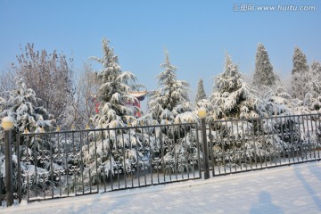 雪景