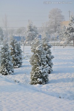 雪景