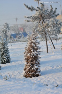 雪景