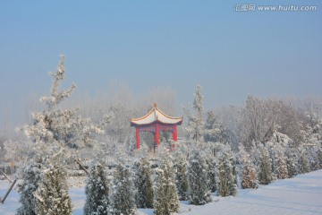 雪景