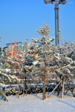 雪景