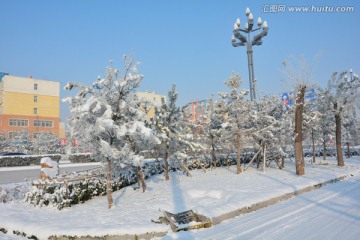 雪景