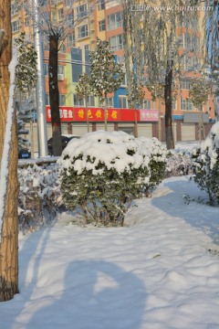 雪景