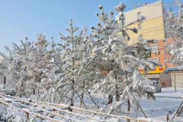 雪景