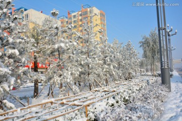 雪景