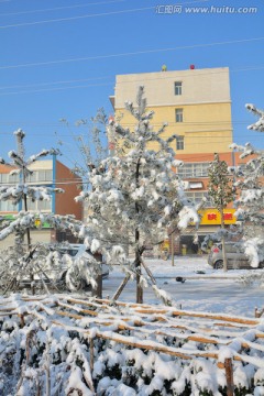 雪景