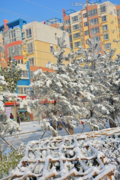 雪景