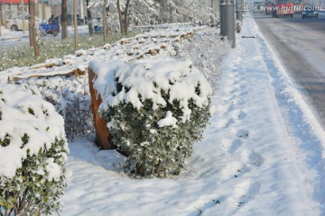 雪景