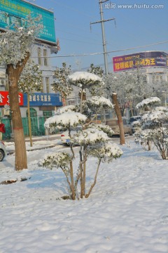 雪景