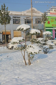 雪景