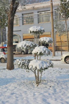 雪景