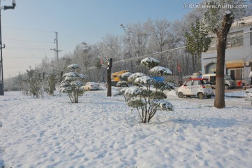 雪景