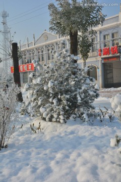 雪景