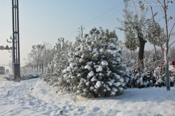 雪景