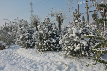 雪景