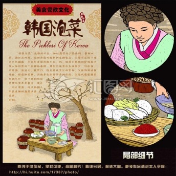 韩国泡菜 手绘 插画 宣传画