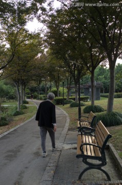公園道路