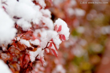 雪