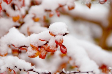 雪