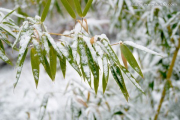 雪