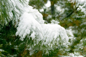 雪