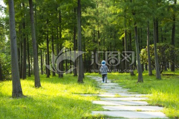 走在树林中的小男孩