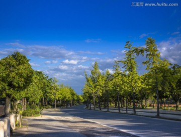 风景区道路