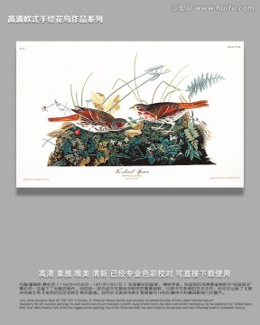 花鳥(niǎo)玄關(guān)畫(huà)花鳥(niǎo)背景墻