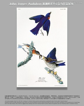 花鳥油畫花鳥裝飾畫