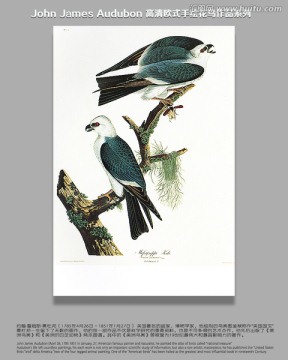 花鳥素材花鳥無框畫