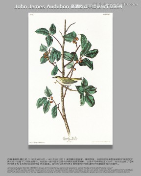 花鳥油畫花鳥無(wú)框畫