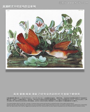 手繪花鳥(niǎo) 花鳥(niǎo)裝飾畫(huà)