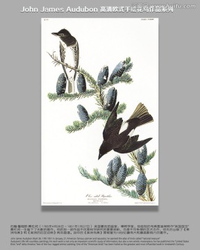 花鳥無框畫花鳥玄關(guān)畫