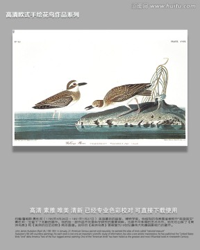 手繪花鳥