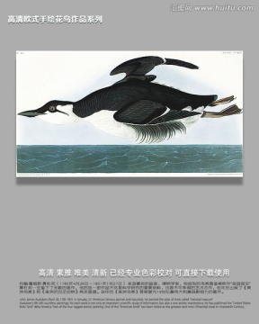 歐式花鳥裝飾畫