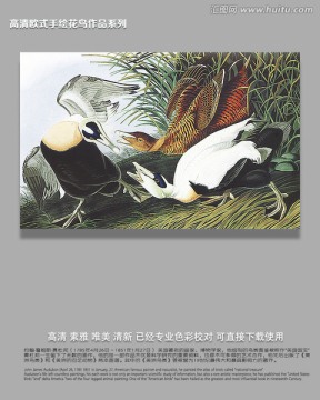 歐式花鳥(niǎo)裝飾畫(huà)