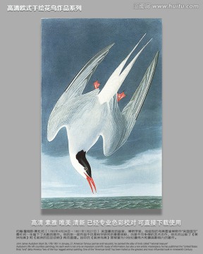 歐式花鳥裝飾畫
