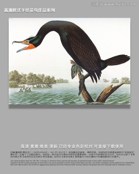歐式花鳥裝飾畫