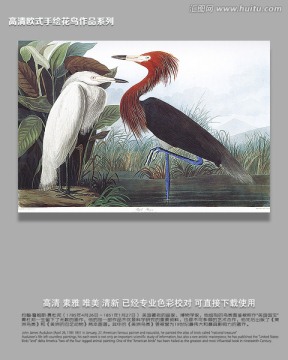 歐式花鳥(niǎo)