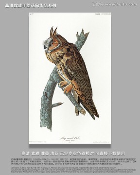 花鳥鳥經(jīng)