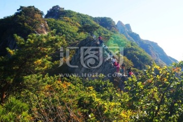 高山旅游景点开发