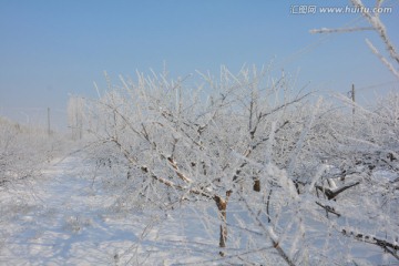 冰天雪地