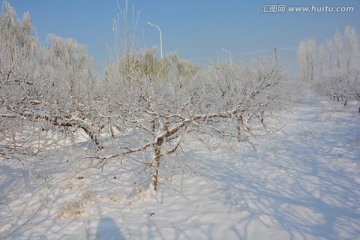 冰天雪地