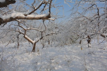 雪景