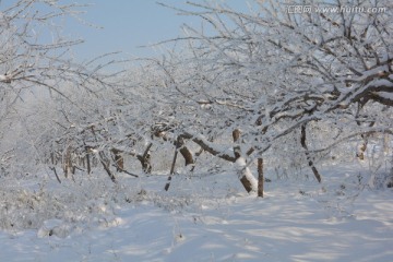 雪景